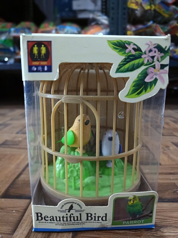 Beautiful bird's